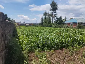 1/4 Land Plot in Sobea, Nakuru (Ex-Margaret)