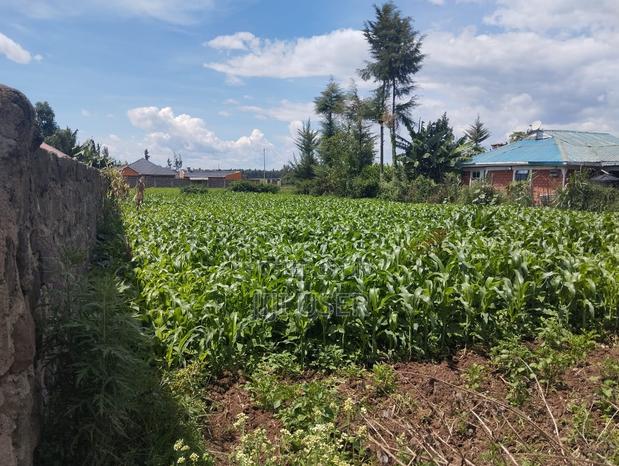 1/4 Land Plot in Sobea, Nakuru (Ex-Margaret) - thumbnail 4