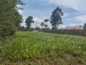 1/4 Land Plot in Sobea, Nakuru (Ex-Margaret)