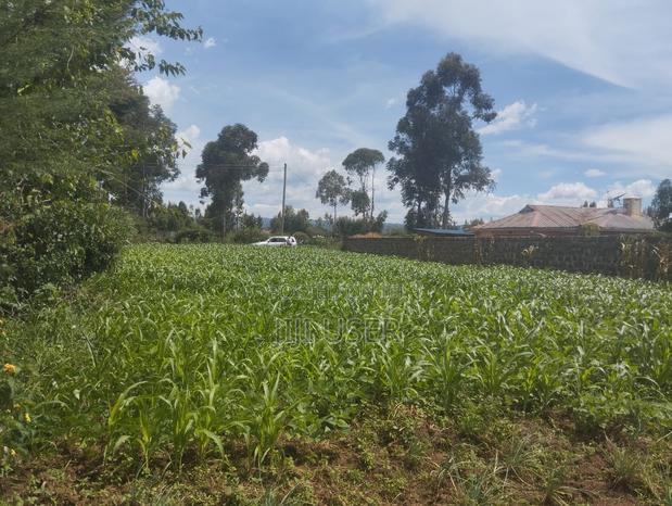 1/4 Land Plot in Sobea, Nakuru (Ex-Margaret) - thumbnail 5
