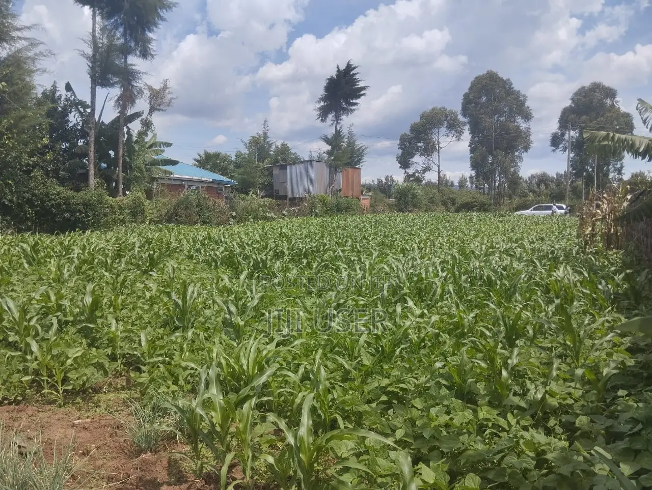 1/4 Land Plot in Sobea, Nakuru (Ex-Margaret)