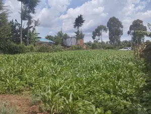 1/4 Land Plot in Sobea, Nakuru (Ex-Margaret)