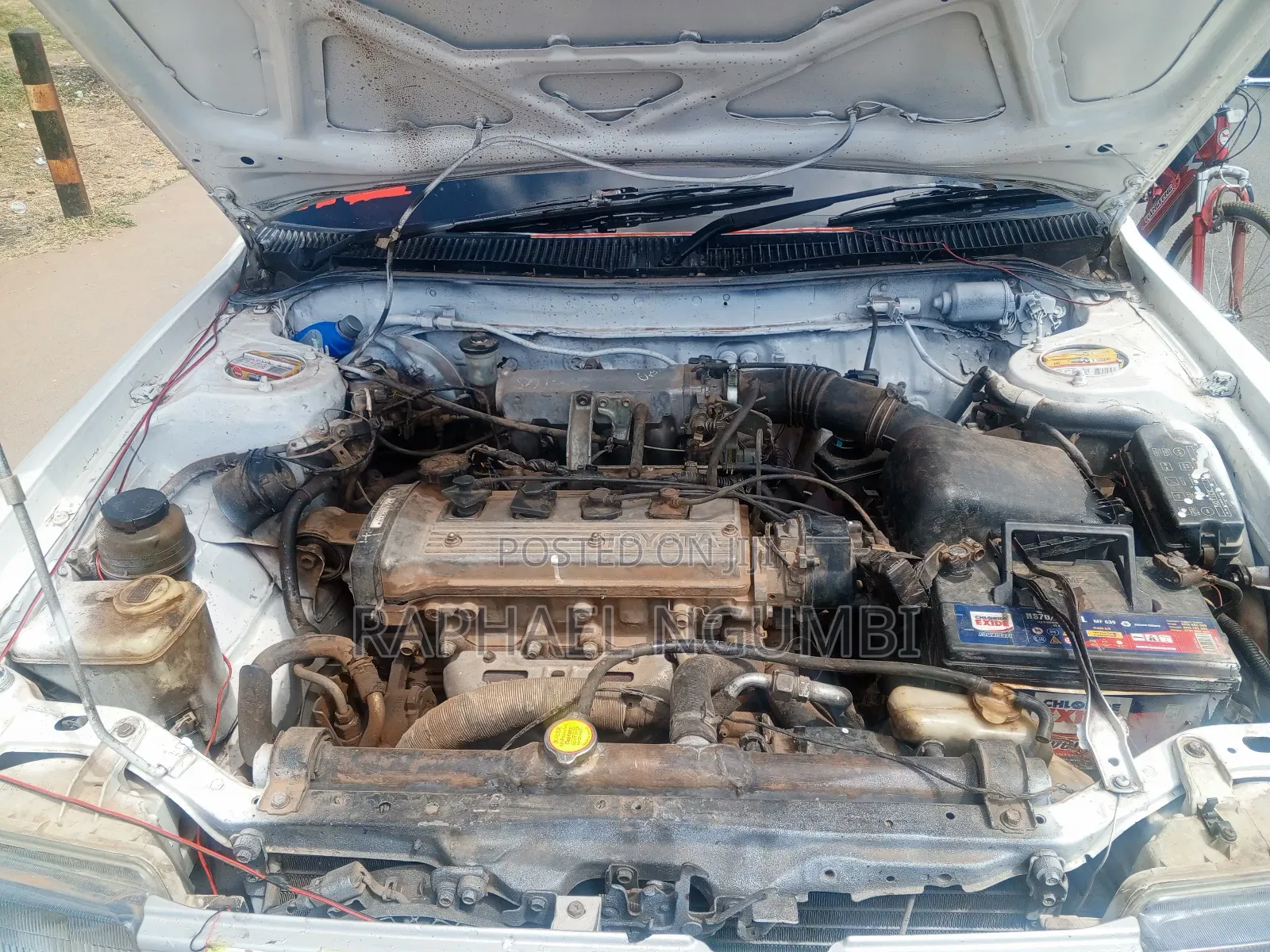Toyota Corolla 1996 White