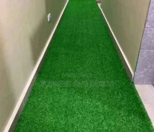Artificial Grass Carpet for Creative Corridors Designs