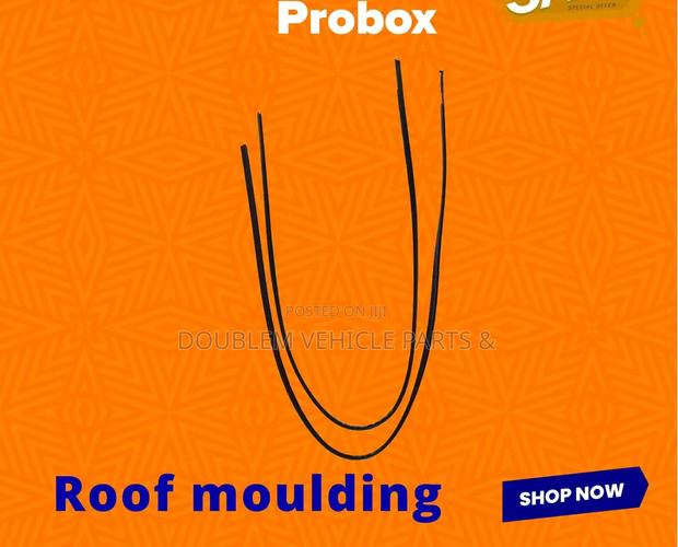 Roof Moulding Toyota Probox Dx 2005 Onwards Old Model
