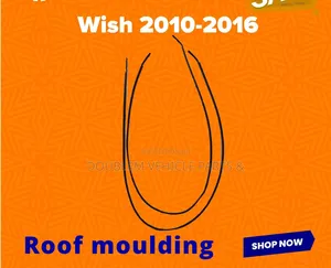 Roof Moulding Toyota Wish 2010,2011,2012,2013,2014,2015,2016