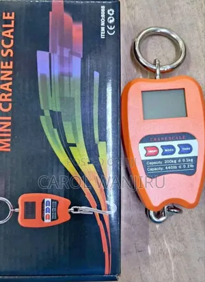 New Crane Scale/200kg Digital Weighing Scale