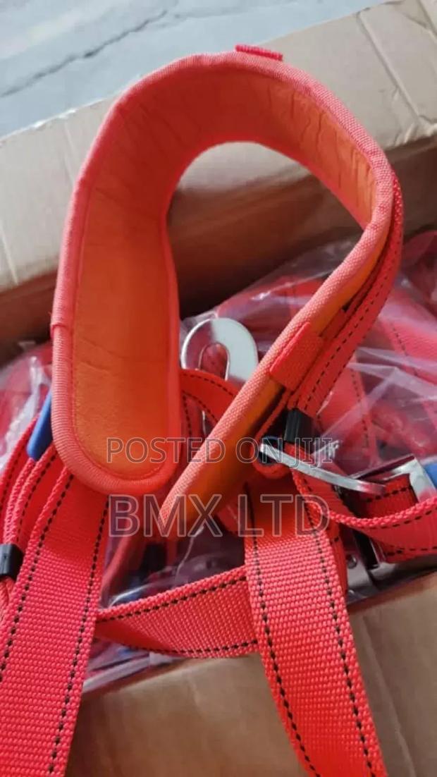 Multi-purpose Safety Belt With Fall Restraint - main view