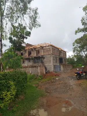 Professional Contractor