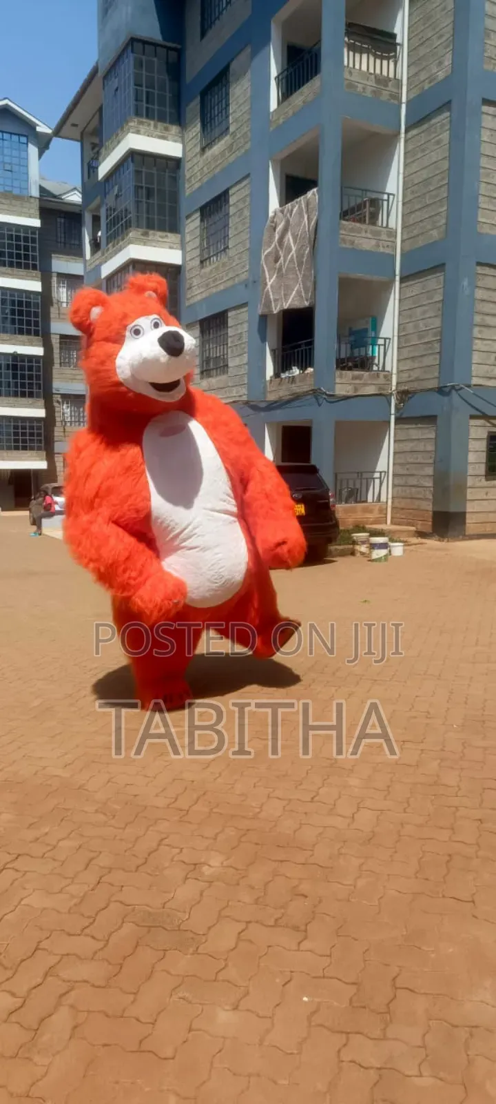 Inflatable Mascots Costumes for Sale