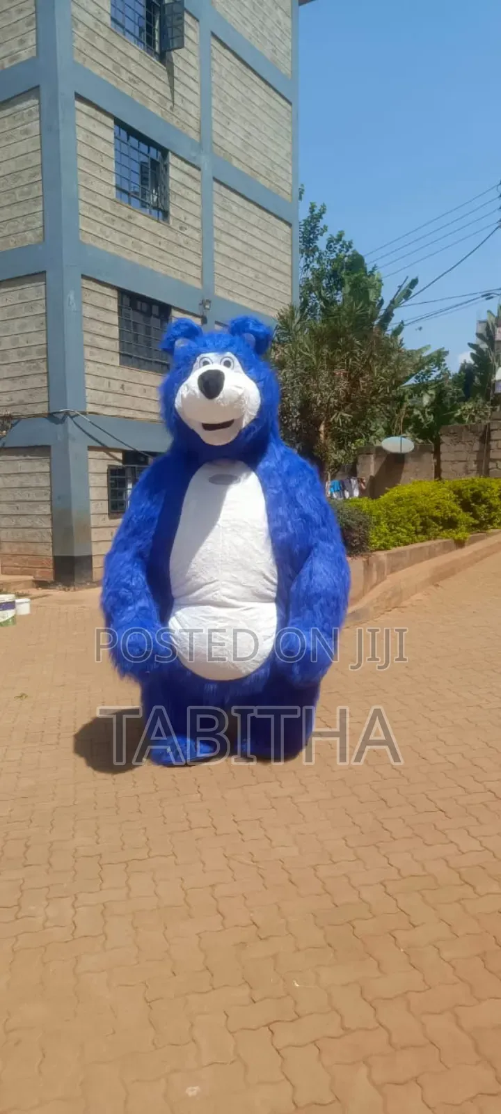 Inflatable Mascots Costumes for Sale