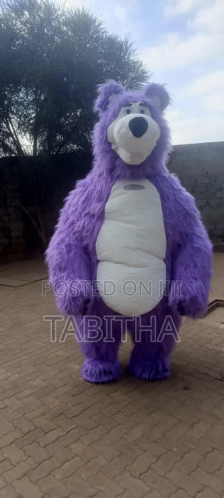 Inflatable Mascots Costumes for Sale