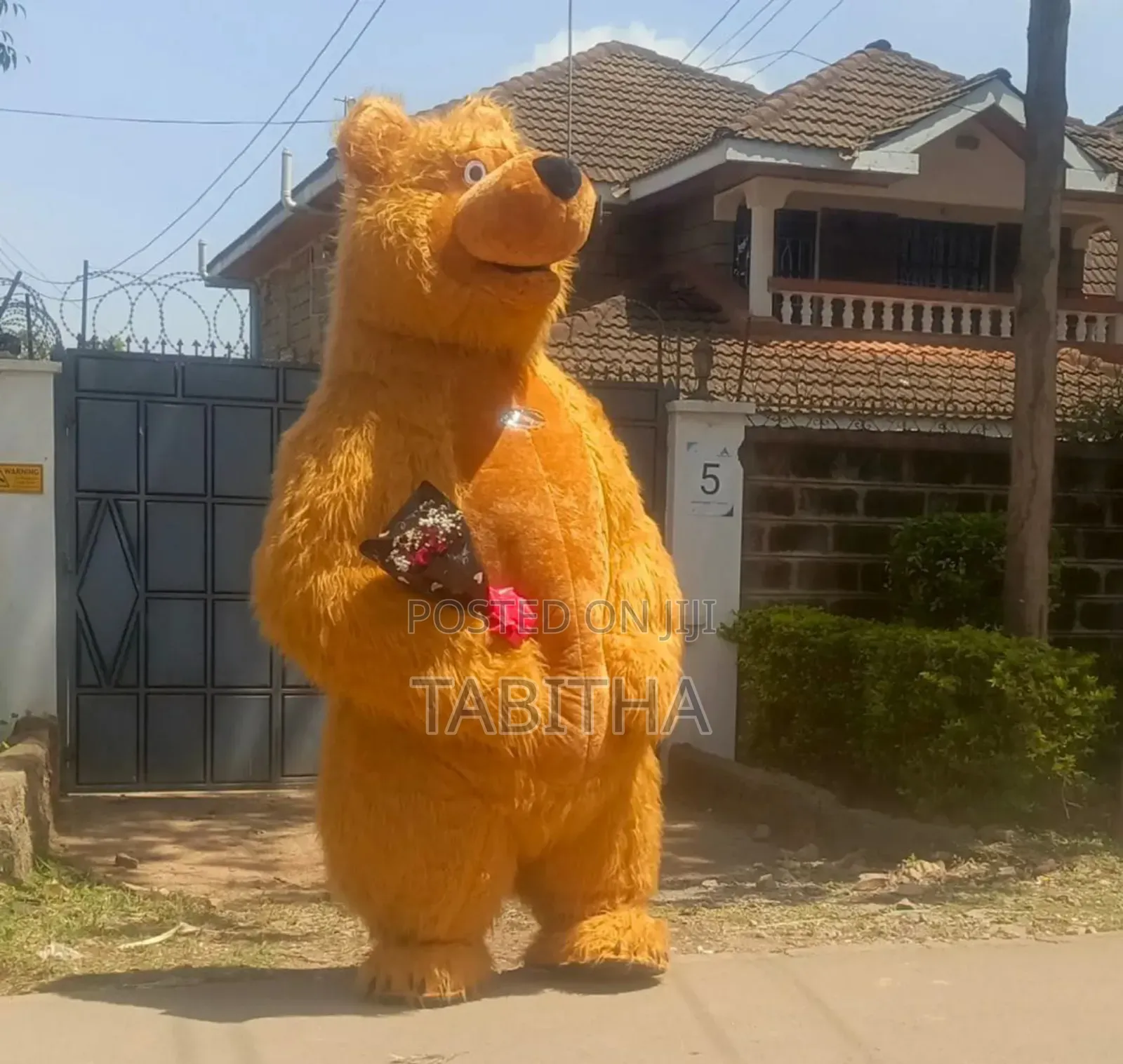 Inflatable Mascots Costumes for Sale