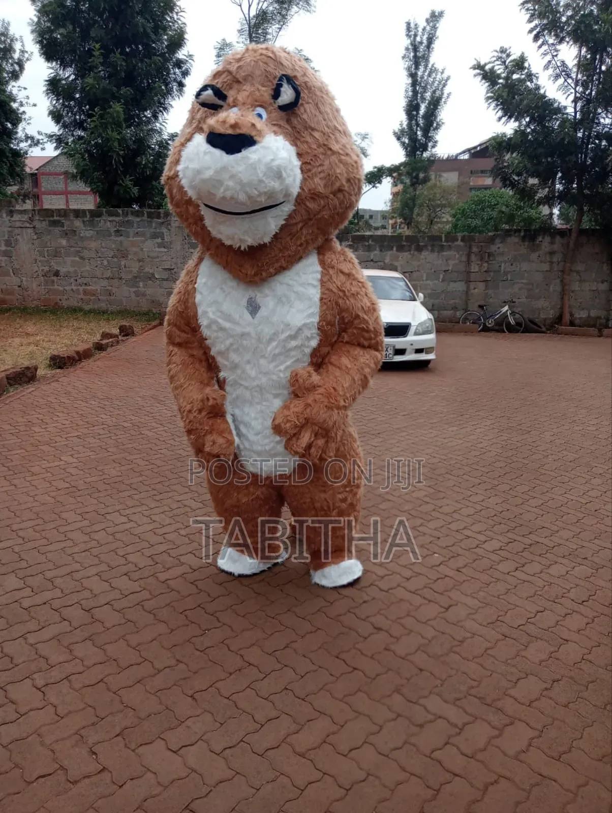 Inflatable Mascots Costumes for Sale