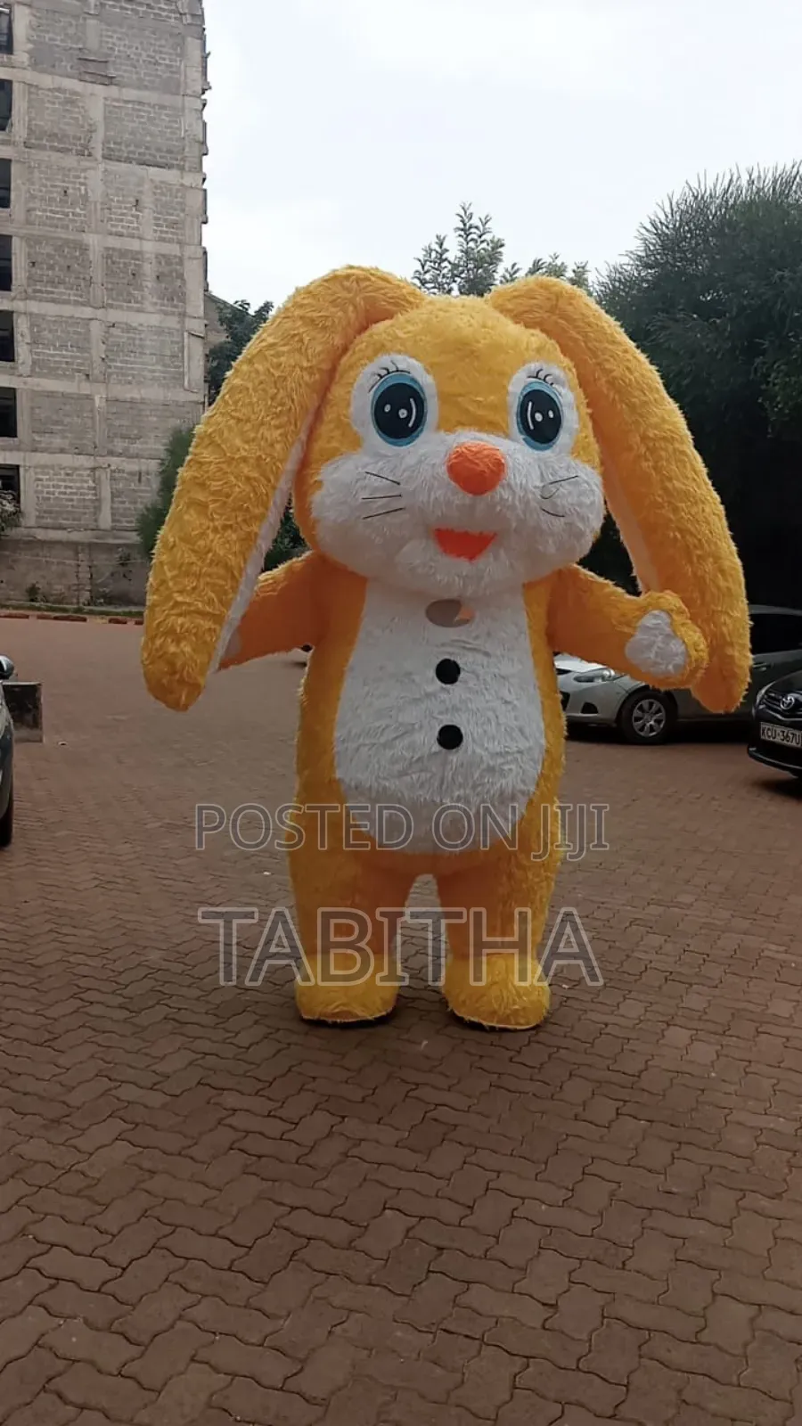 Inflatable Mascots Costumes for Sale