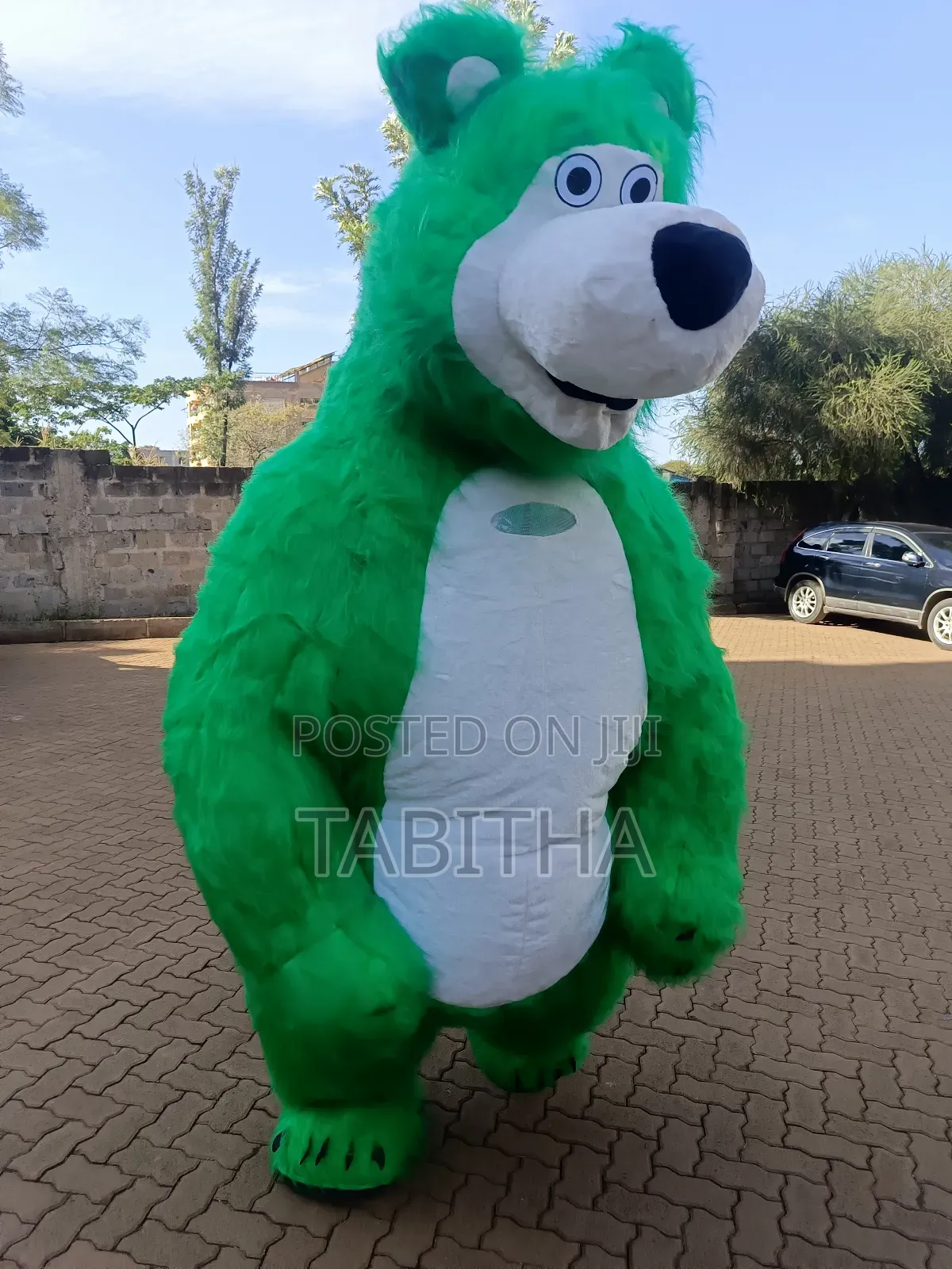 Inflatable Mascots Costumes for Sale
