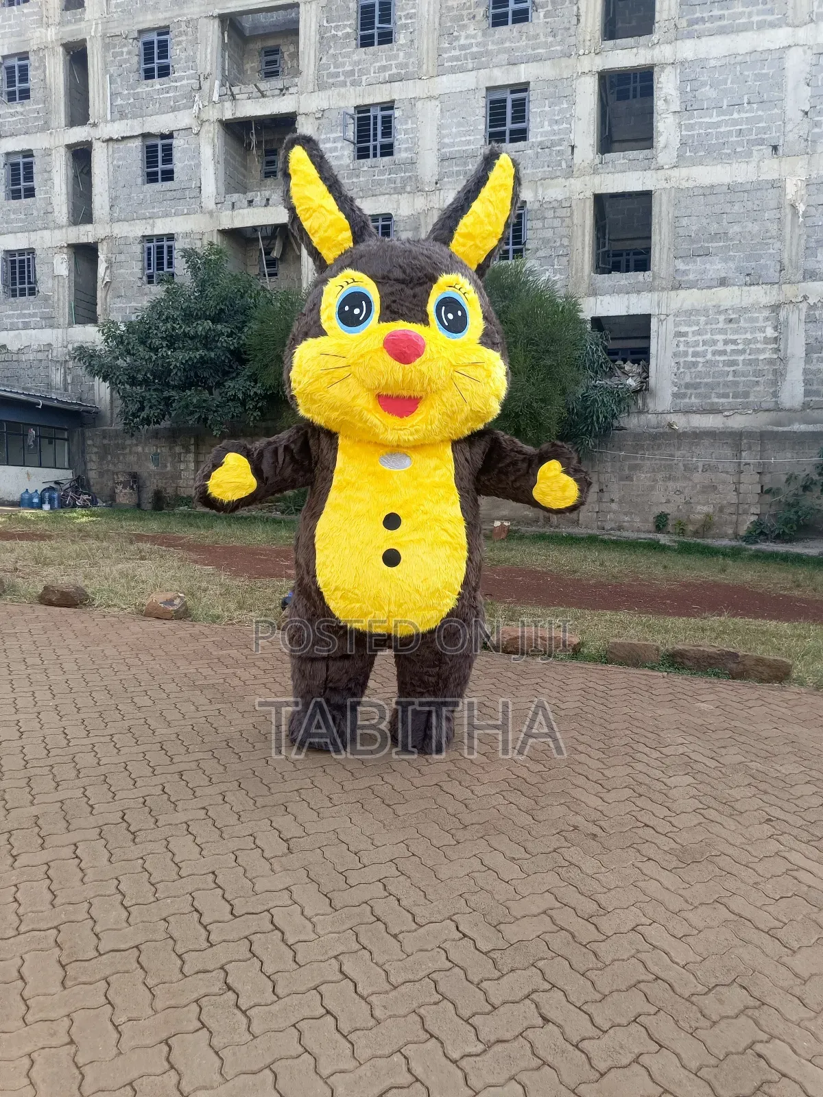 Inflatable Mascots Costumes for Sale