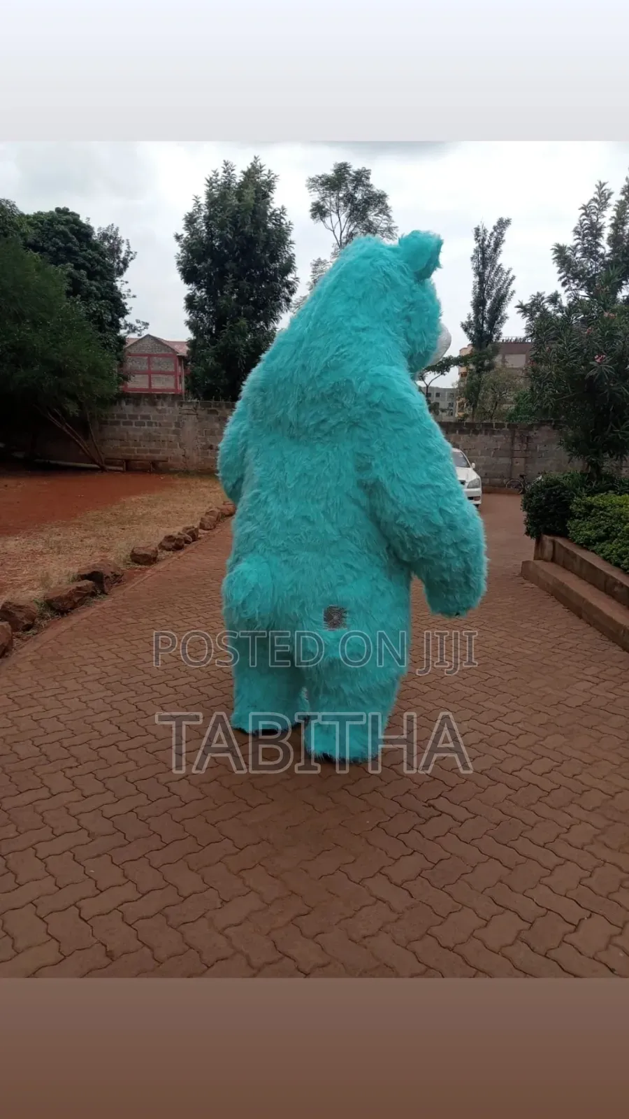 Inflatable Mascots Costumes for Sale