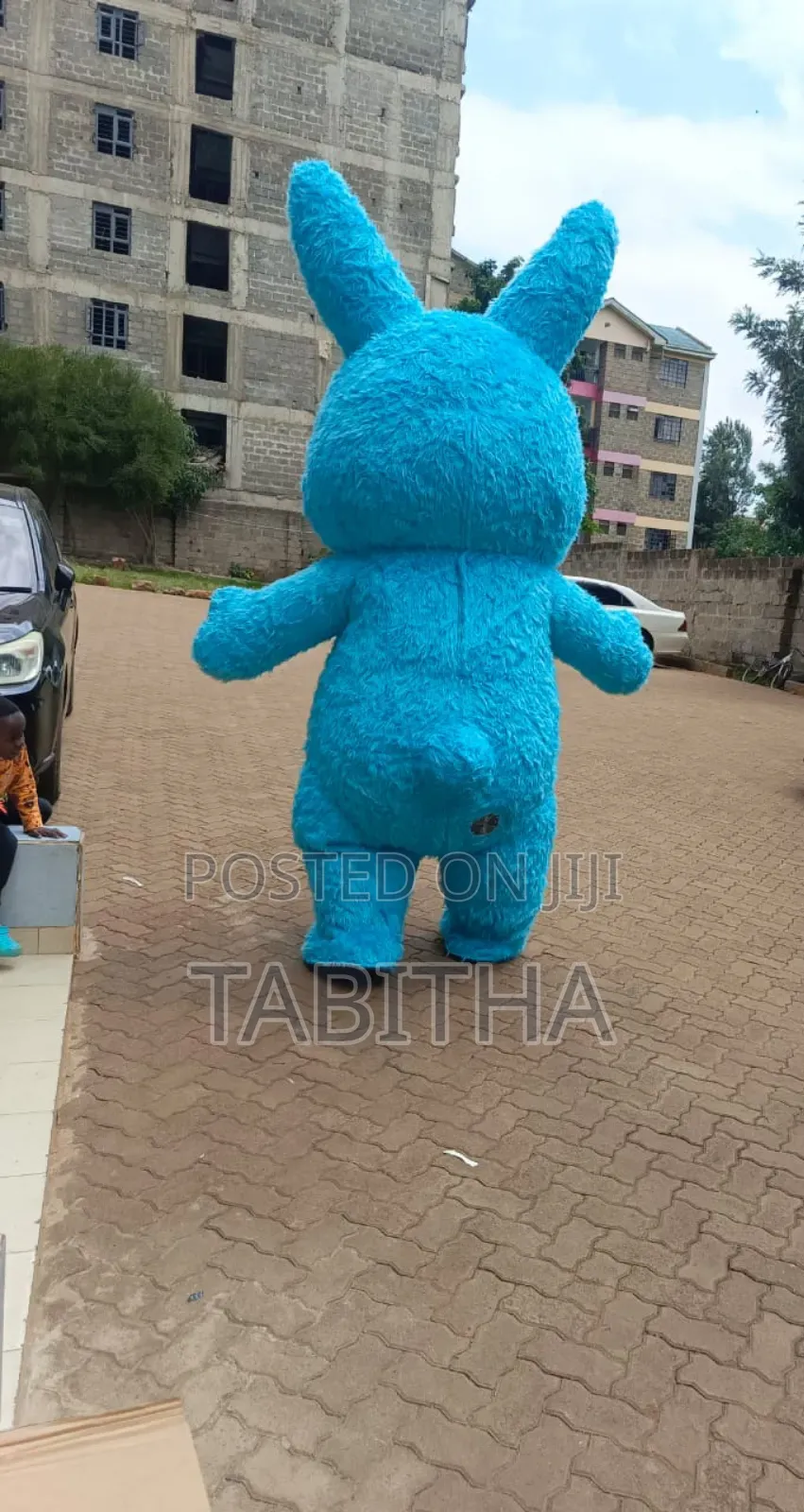 Inflatable Mascots Costumes for Sale