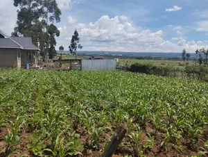 50 by 100 Land Plot in Sobea, Nakuru (Ex-Margaret)