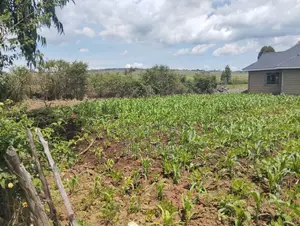 50 by 100 Land Plot in Sobea, Nakuru (Ex-Margaret)