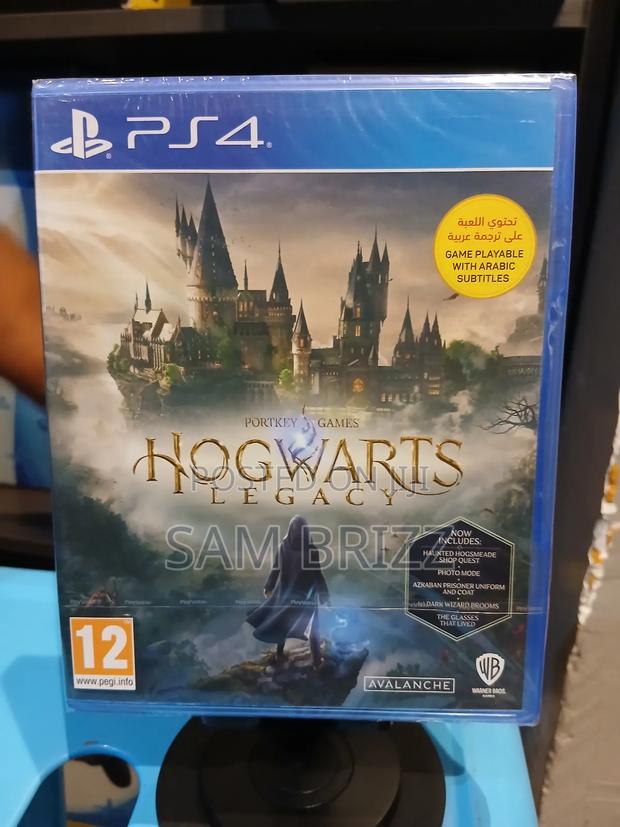 Hogwarts Legacy - main view