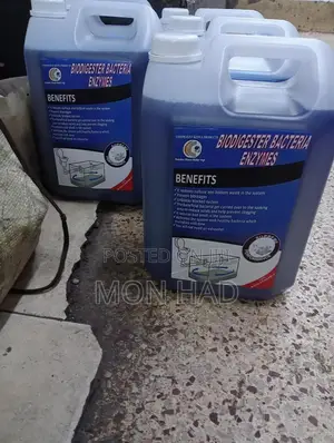 Biodigester Bacteria Enzymes For Septic Systems