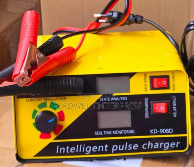 Interagent Battery Charger 12/24v - main view