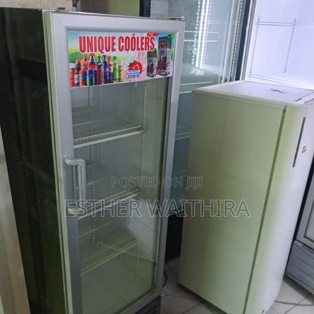 Frigolex Display Fridge