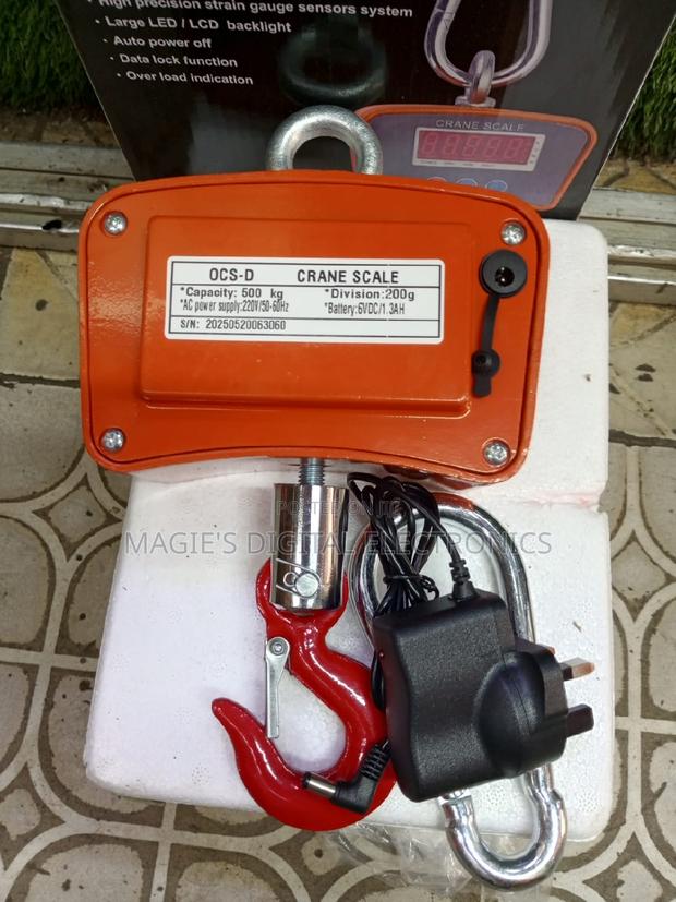 Most Appropriate 500kg Crane Scale - main view