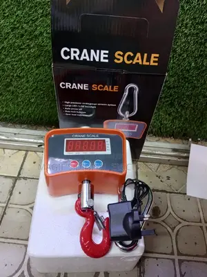 Super Versatile 500kg Crane Scale