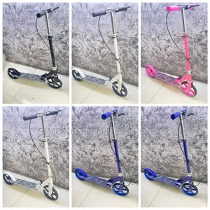 Foldable Metallic Scooter