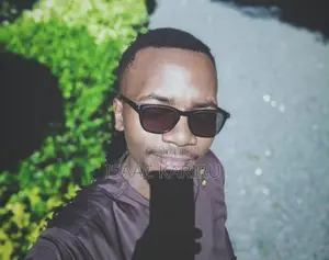 Journalist / Media Maven