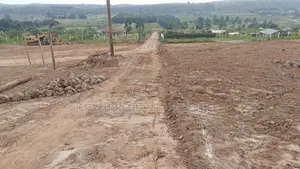 Golden Opportunity at Golden Estate – Phase 2