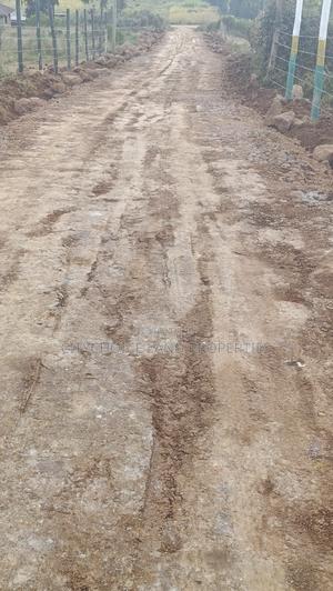Limited 50x100 Plots in Kikuyu Golden Estate Phase 2 - thumbnail 2