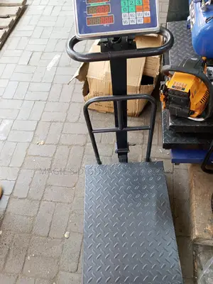 Highly Recommend 600kg Platform Scale With Guard