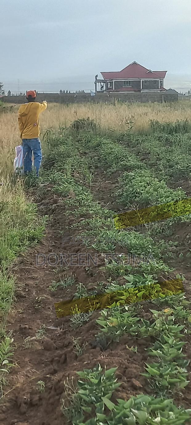 Prime Plot for Sale in Nakuru - main view