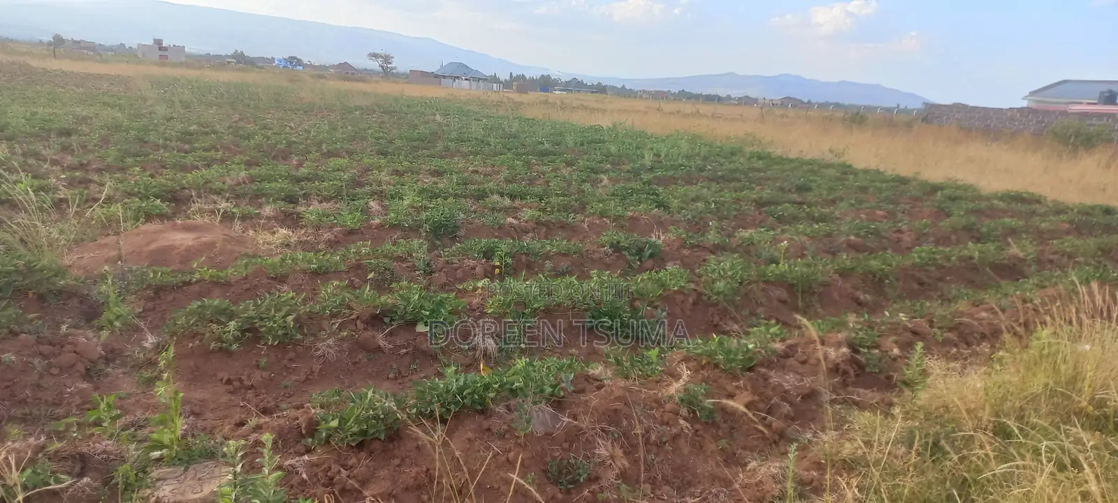 Prime Plot for Sale in Nakuru