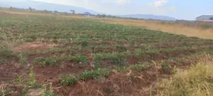 Prime Plot for Sale in Nakuru