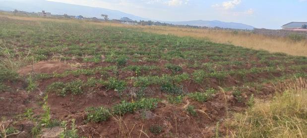 Prime Plot for Sale in Nakuru - thumbnail 2