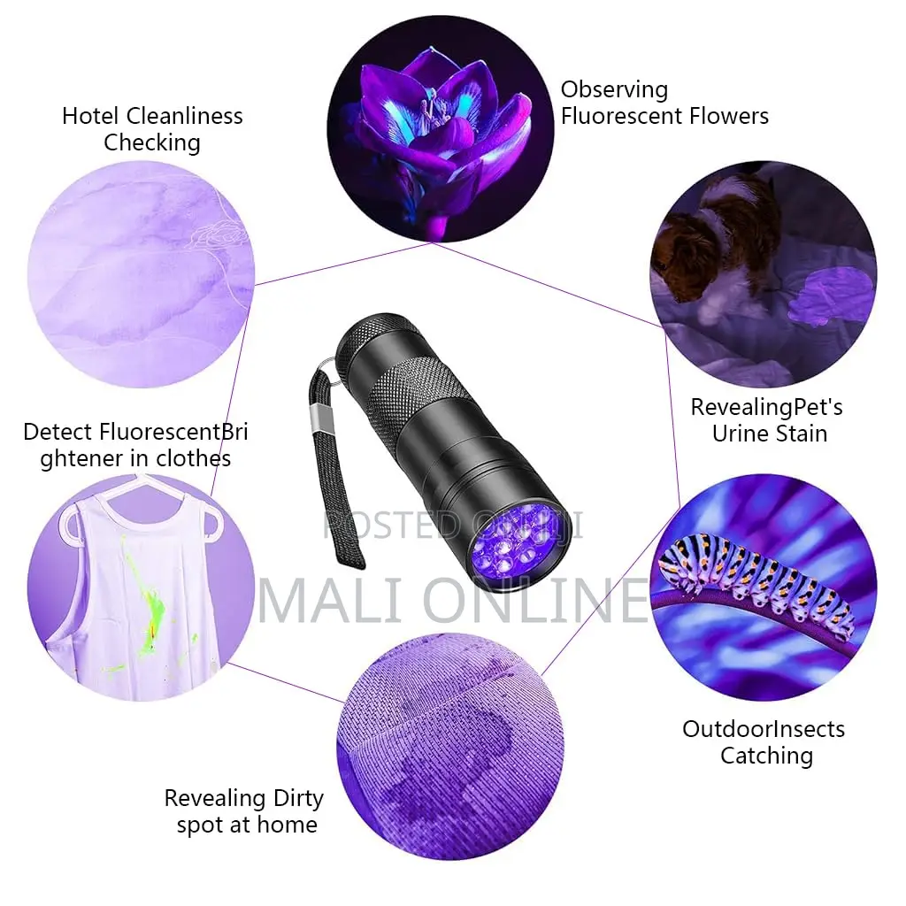 Mini 395nm Uv Led Flashlight Portable Black Light Torch
