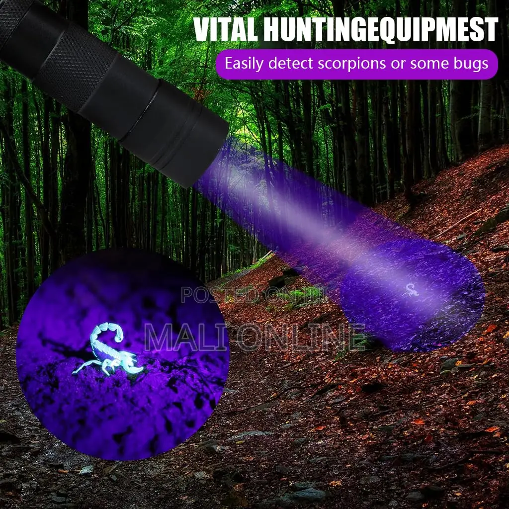 Mini 395nm Uv Led Flashlight Portable Black Light Torch