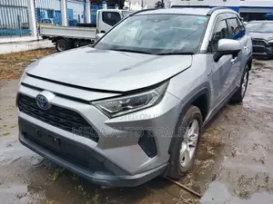 Toyota RAV4 Hybrid 2019 Silver