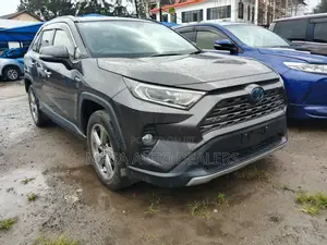 Toyota RAV4 Hybrid 2019 Silver