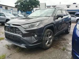 Toyota RAV4 Hybrid 2019 Silver