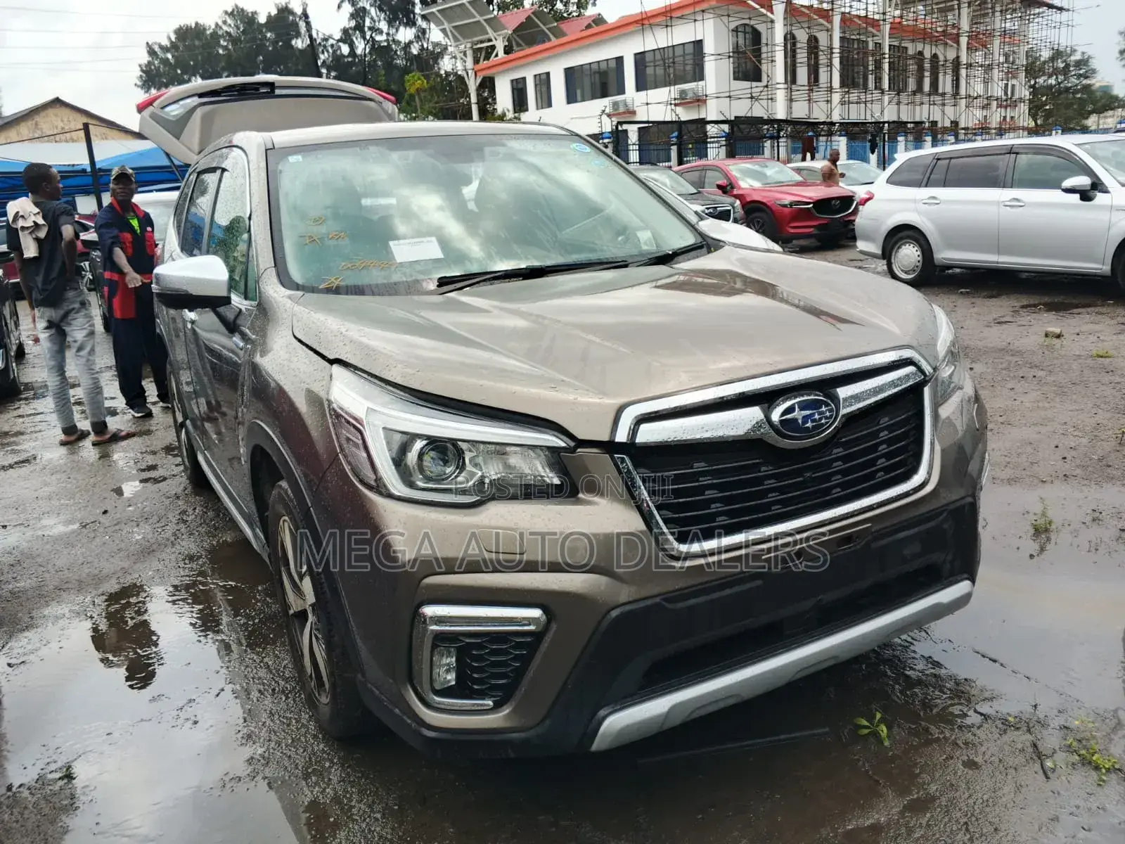 Subaru Forester 2019 Brown