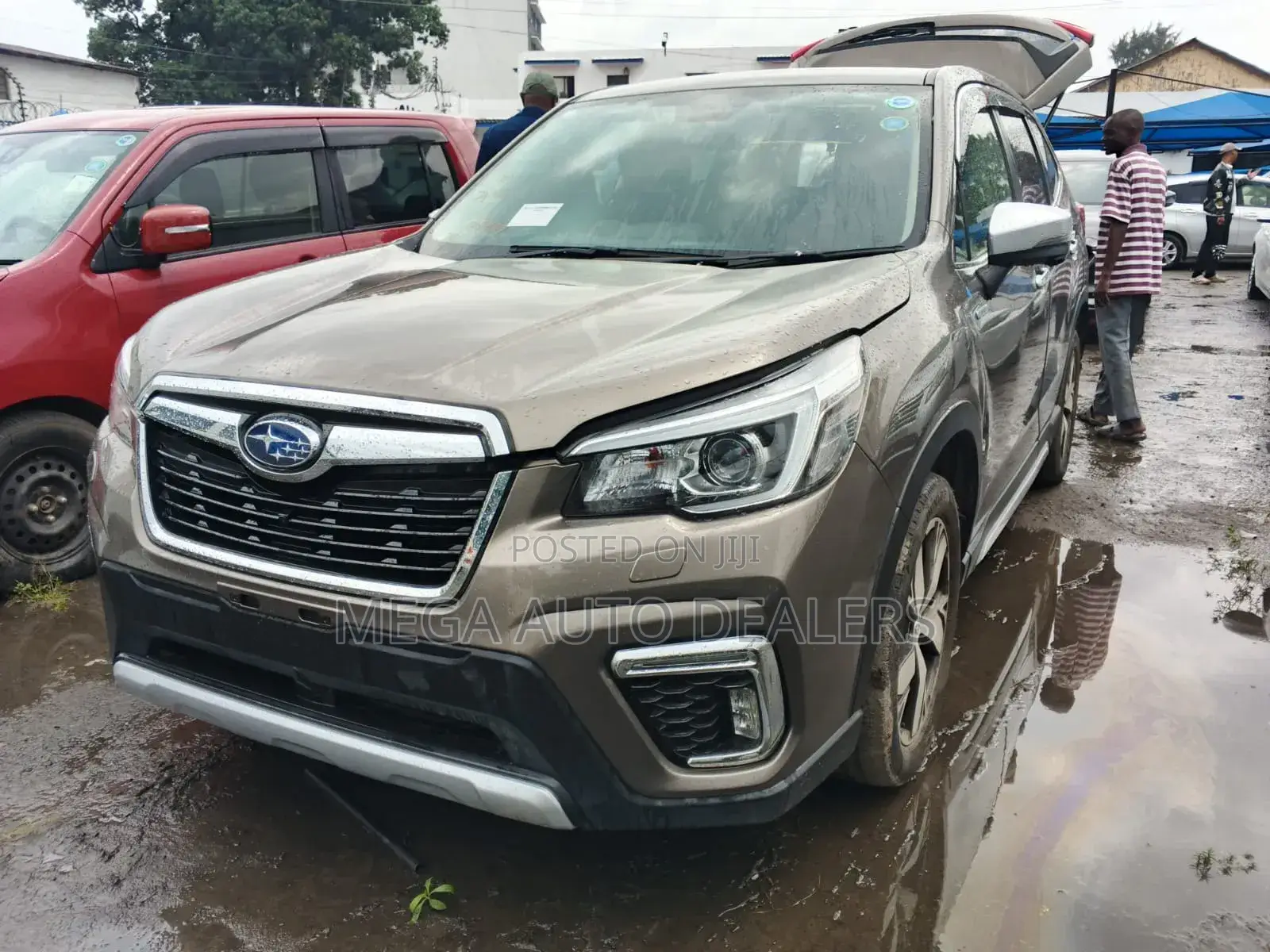 Subaru Forester 2019 Brown