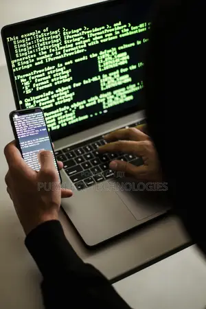 Professional Password Removal Services