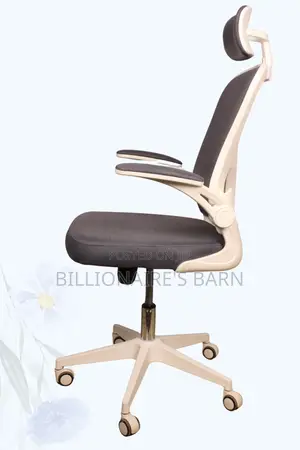 Office Chair; Study Office Chair