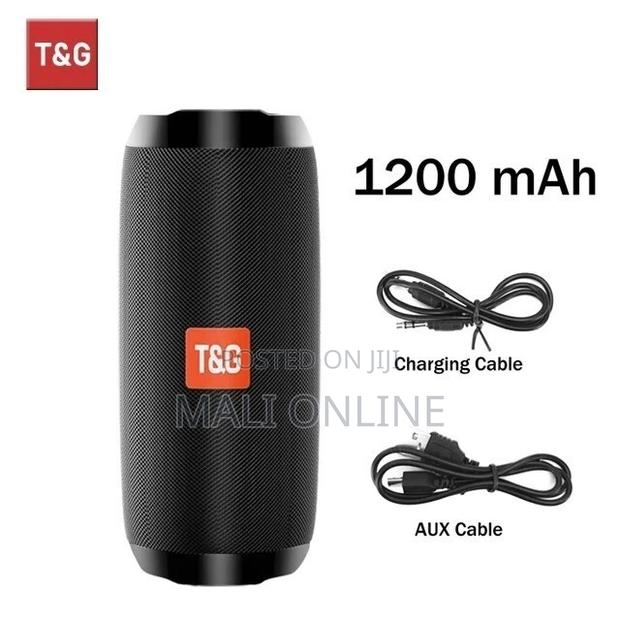 Tg117 Portable Bluetooth Speaker Wireless Waterproof Speaker